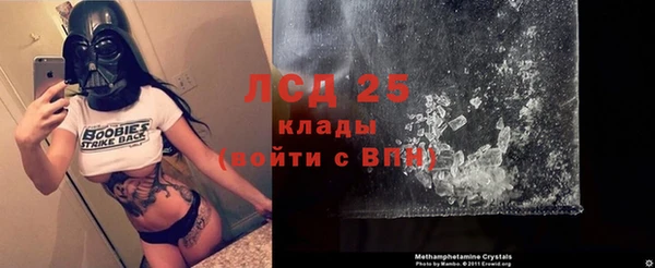 твердый Гусев