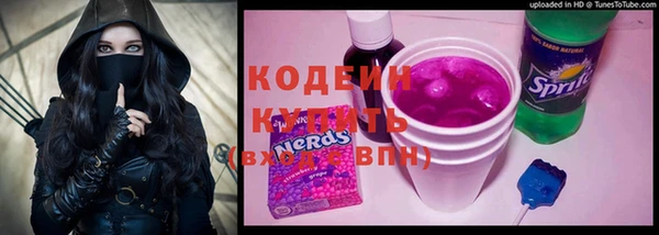 твердый Гусев