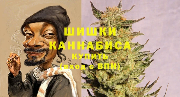 твердый Гусев