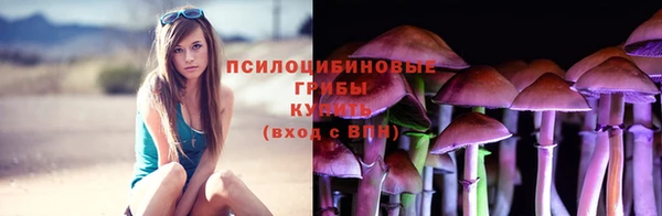 ГАЛЛЮЦИНОГЕННЫЕ ГРИБЫ Горно-Алтайск