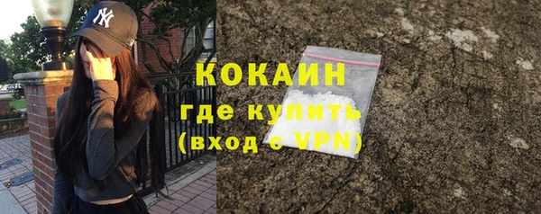 ГАЛЛЮЦИНОГЕННЫЕ ГРИБЫ Горно-Алтайск