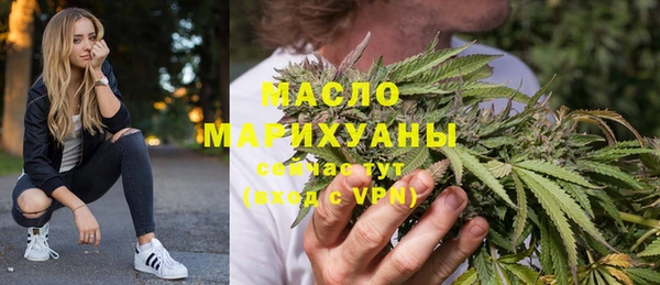 твердый Гусев