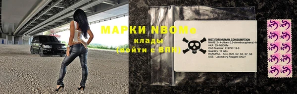 твердый Гусев