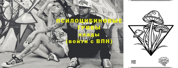 ГАЛЛЮЦИНОГЕННЫЕ ГРИБЫ Горно-Алтайск