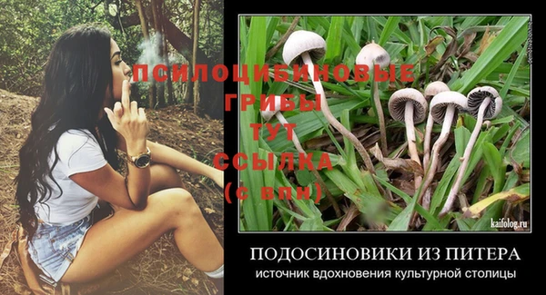дживик Гусь-Хрустальный