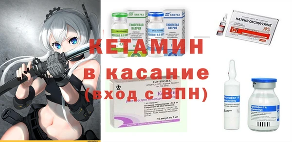 твердый Гусев