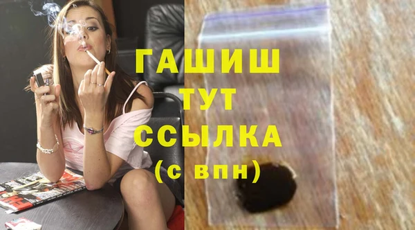 твердый Гусев