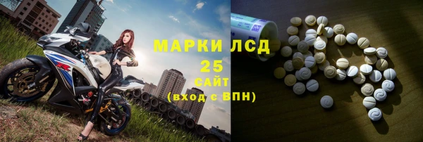 ГАЛЛЮЦИНОГЕННЫЕ ГРИБЫ Горно-Алтайск