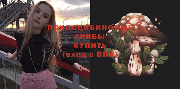 ECSTASY Гусиноозёрск